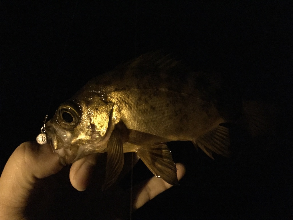 f:id:esojima3:20190120095727j:image