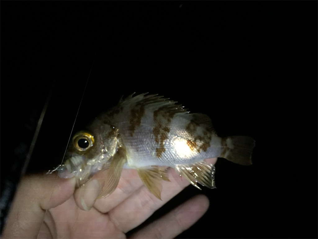f:id:esojima3:20190120100532j:image