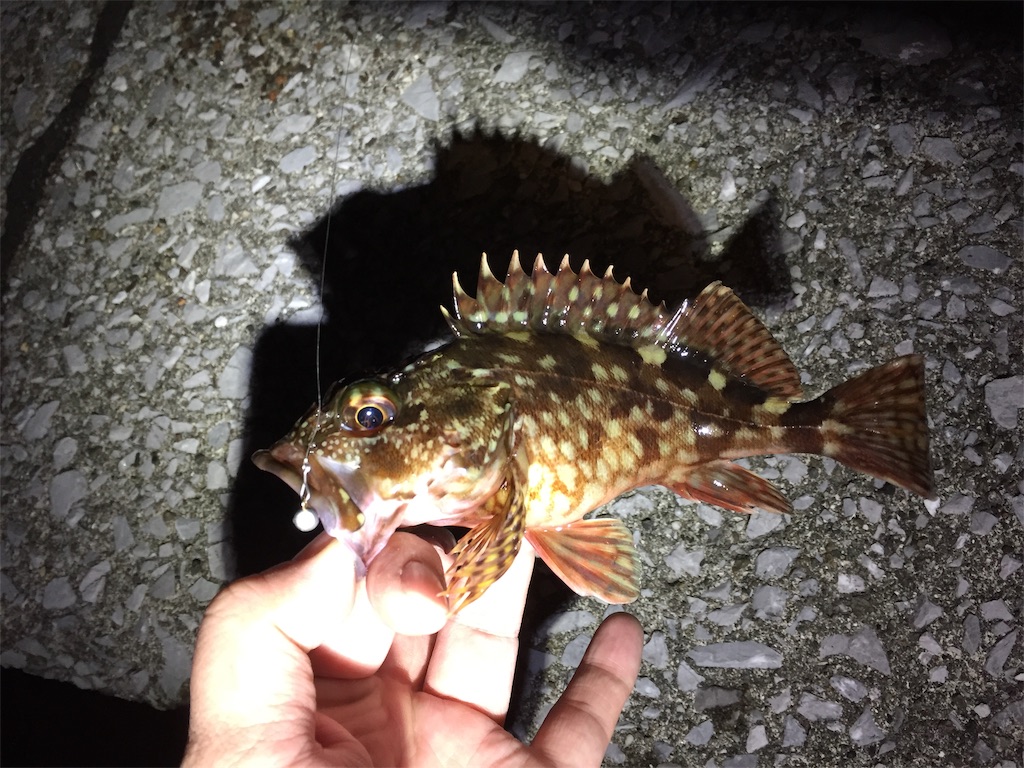 f:id:esojima3:20190120100536j:image