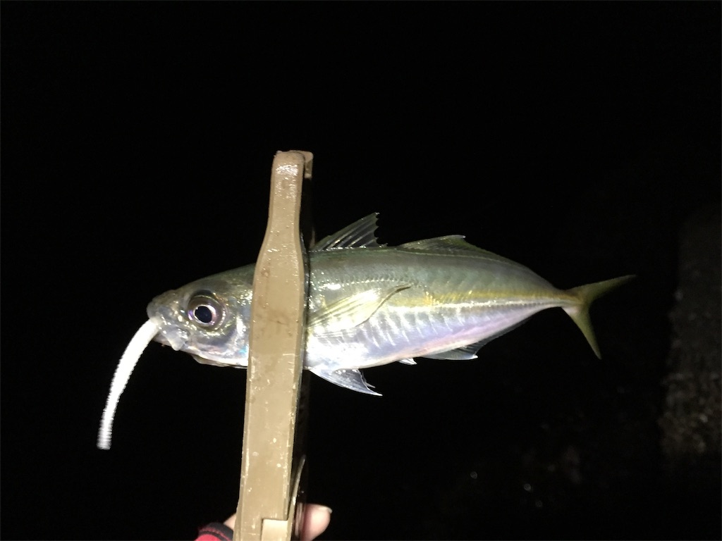 f:id:esojima3:20190120103115j:image