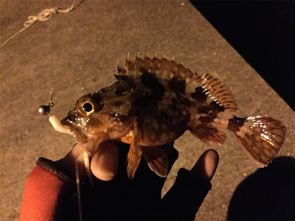 f:id:esojima3:20190120103134j:image