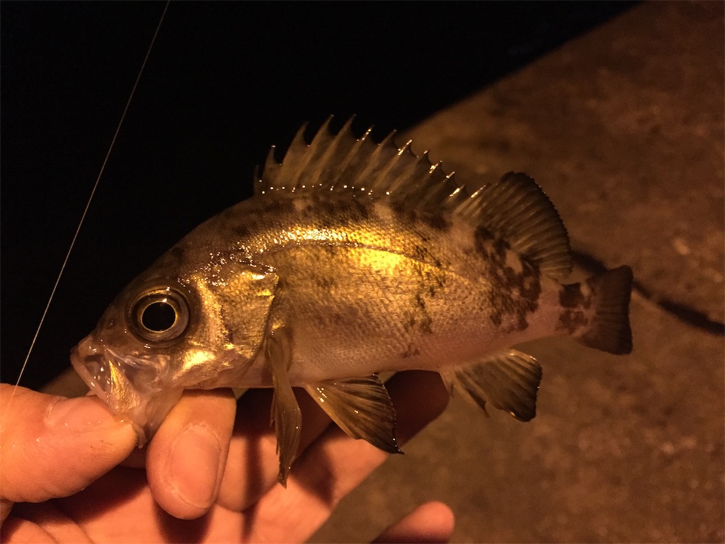 f:id:esojima3:20190123002513j:image f:id:esojima3:20190123002513j:image