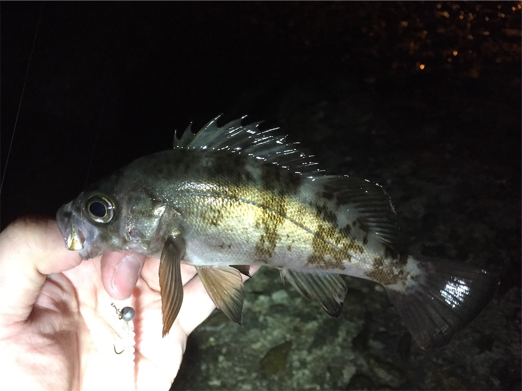 f:id:esojima3:20190123002516j:image f:id:esojima3:20190123002516j:image