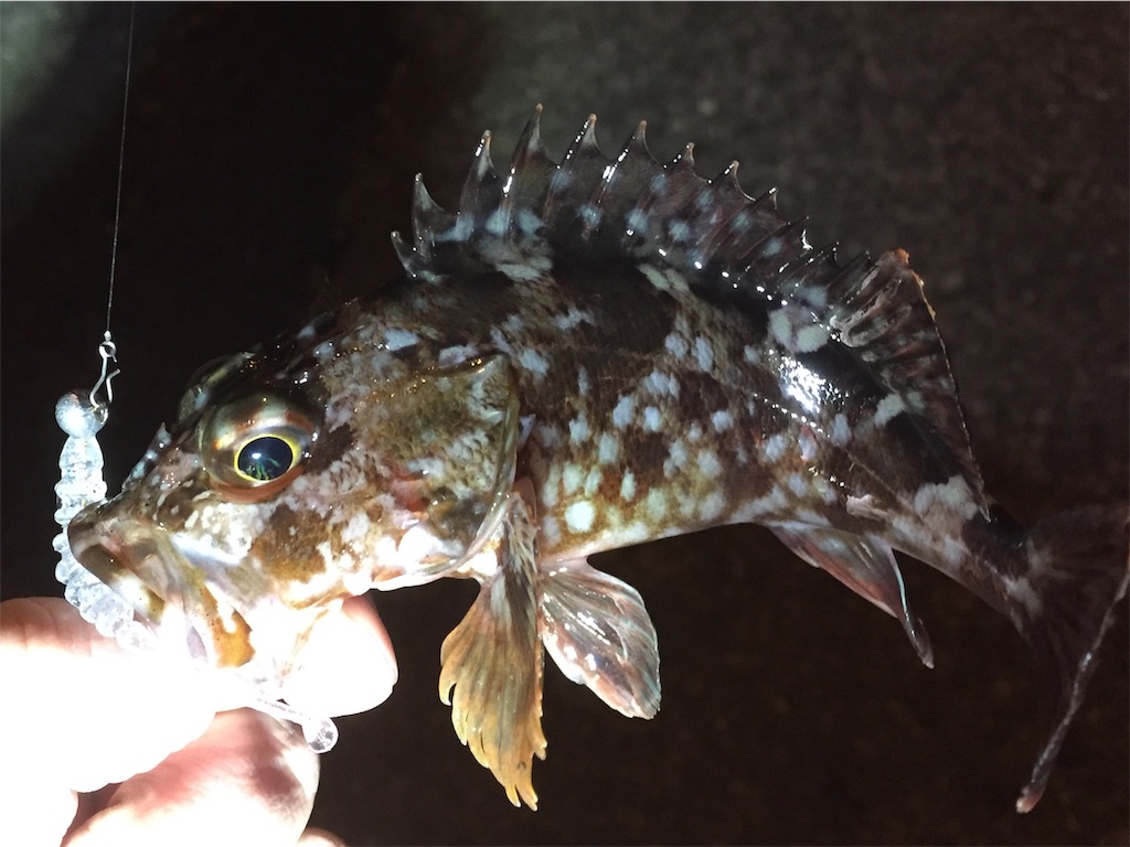 f:id:esojima3:20190123002633j:image f:id:esojima3:20190123002633j:image
