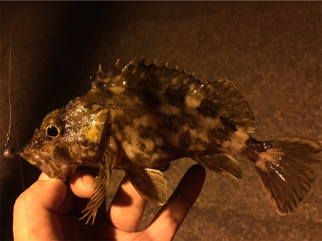 f:id:esojima3:20190123003133j:image f:id:esojima3:20190123003133j:image