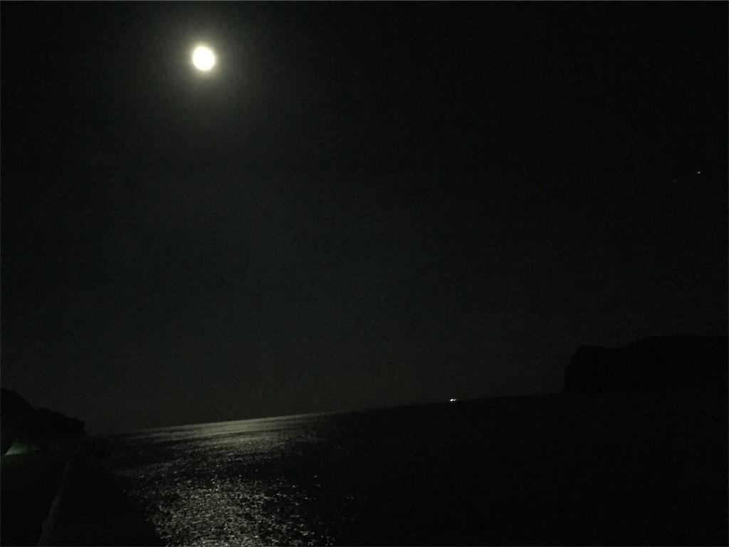 f:id:esojima3:20190123003256j:image f:id:esojima3:20190123003256j:image