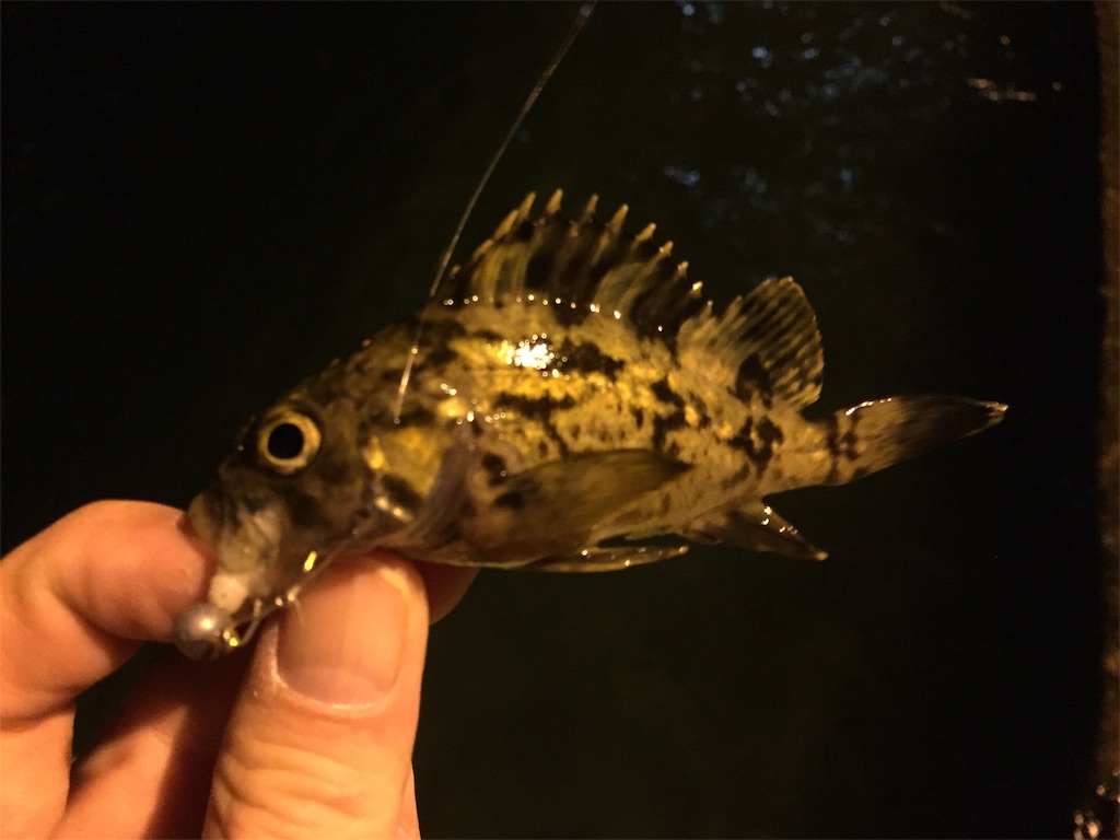f:id:esojima3:20190123223617j:image