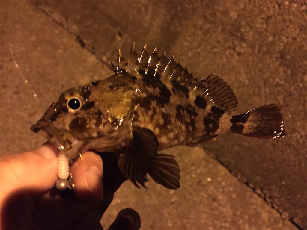 f:id:esojima3:20190124234321j:image