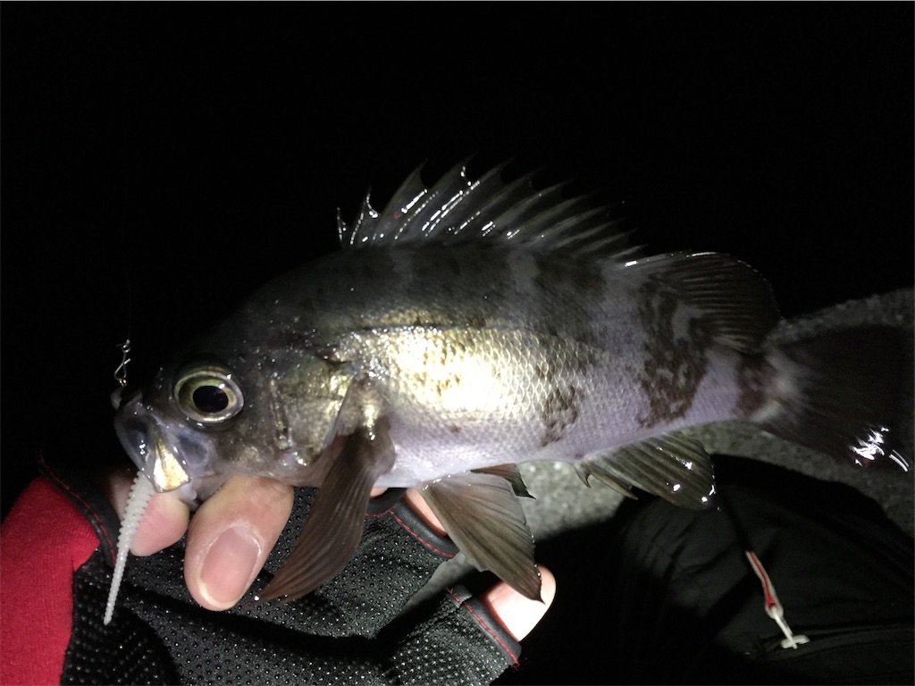 f:id:esojima3:20190126080215j:image