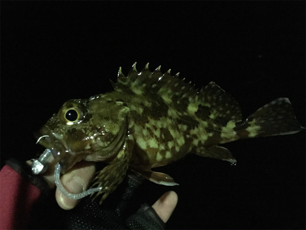 f:id:esojima3:20190126084035j:image
