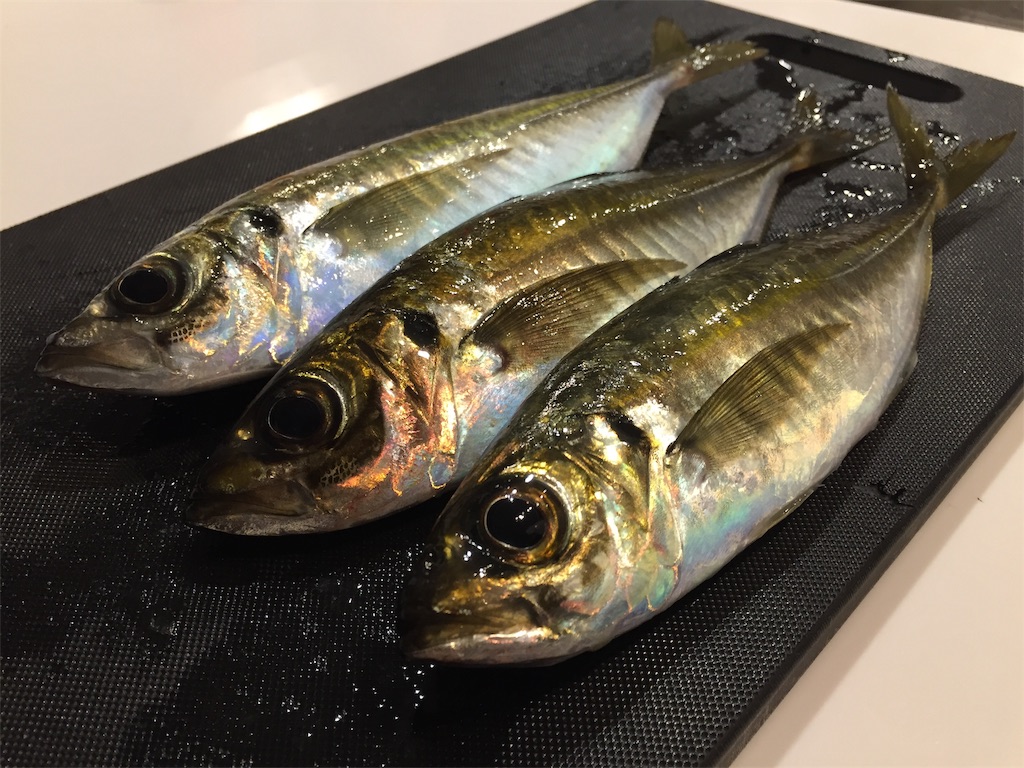 f:id:esojima3:20190126130116j:image