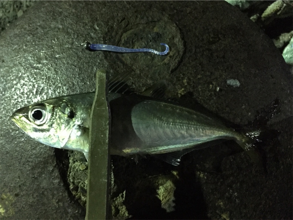 f:id:esojima3:20190128001513j:image f:id:esojima3:20190128001513j:image