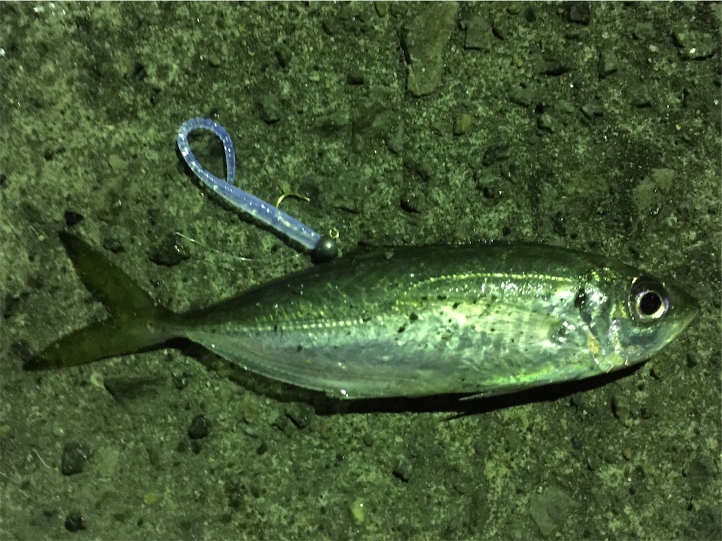 f:id:esojima3:20190128001709j:image f:id:esojima3:20190128001709j:image