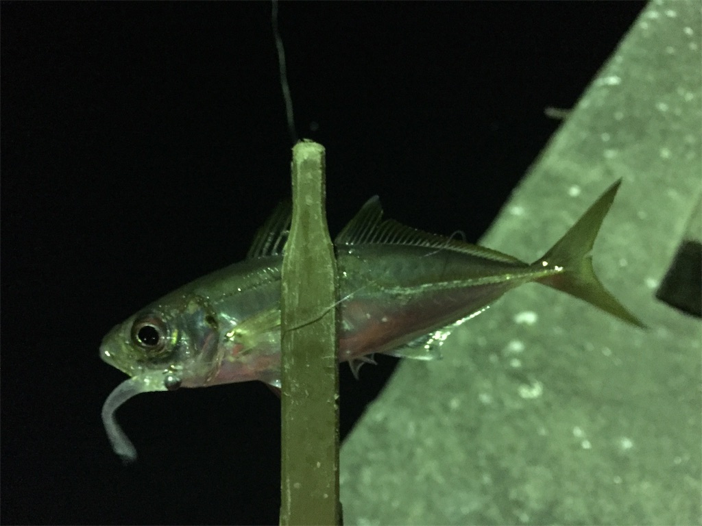 f:id:esojima3:20190128001814j:image f:id:esojima3:20190128001814j:image