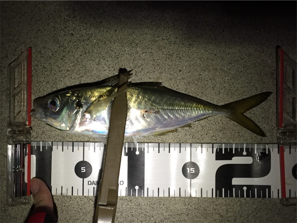 f:id:esojima3:20190128001945j:image f:id:esojima3:20190128001945j:image