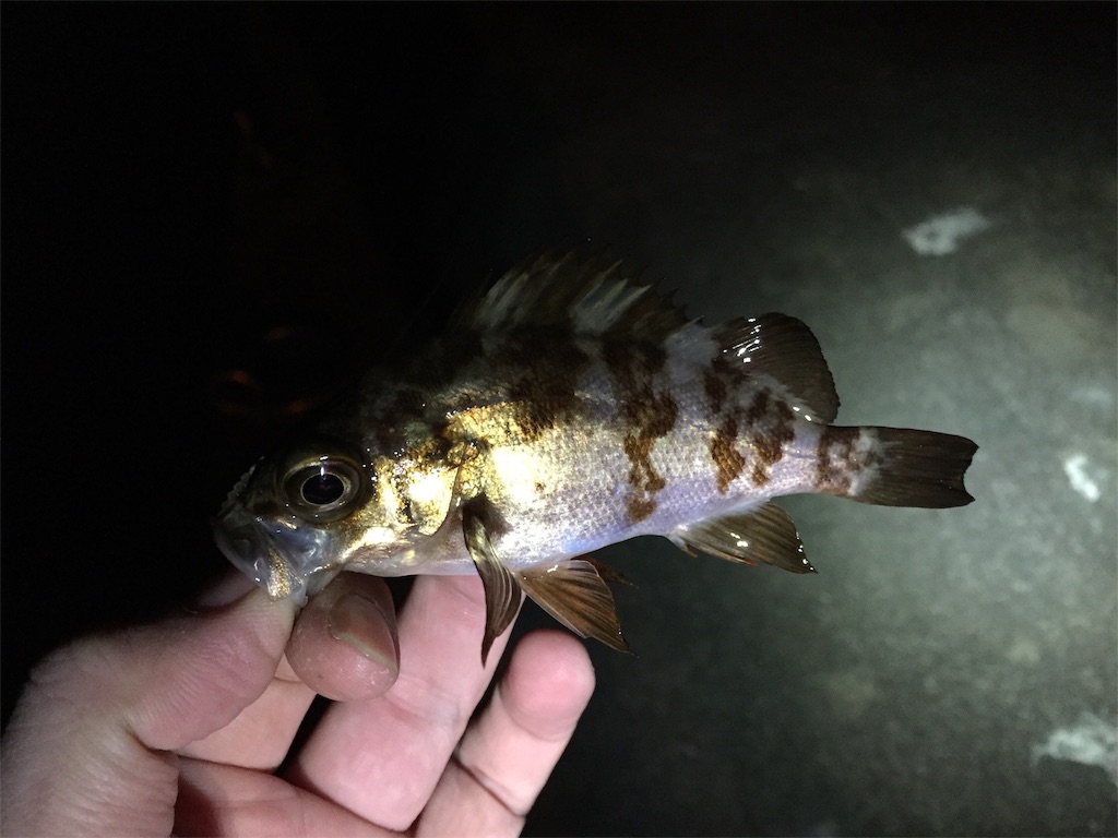 f:id:esojima3:20190129235527j:image f:id:esojima3:20190129235527j:image