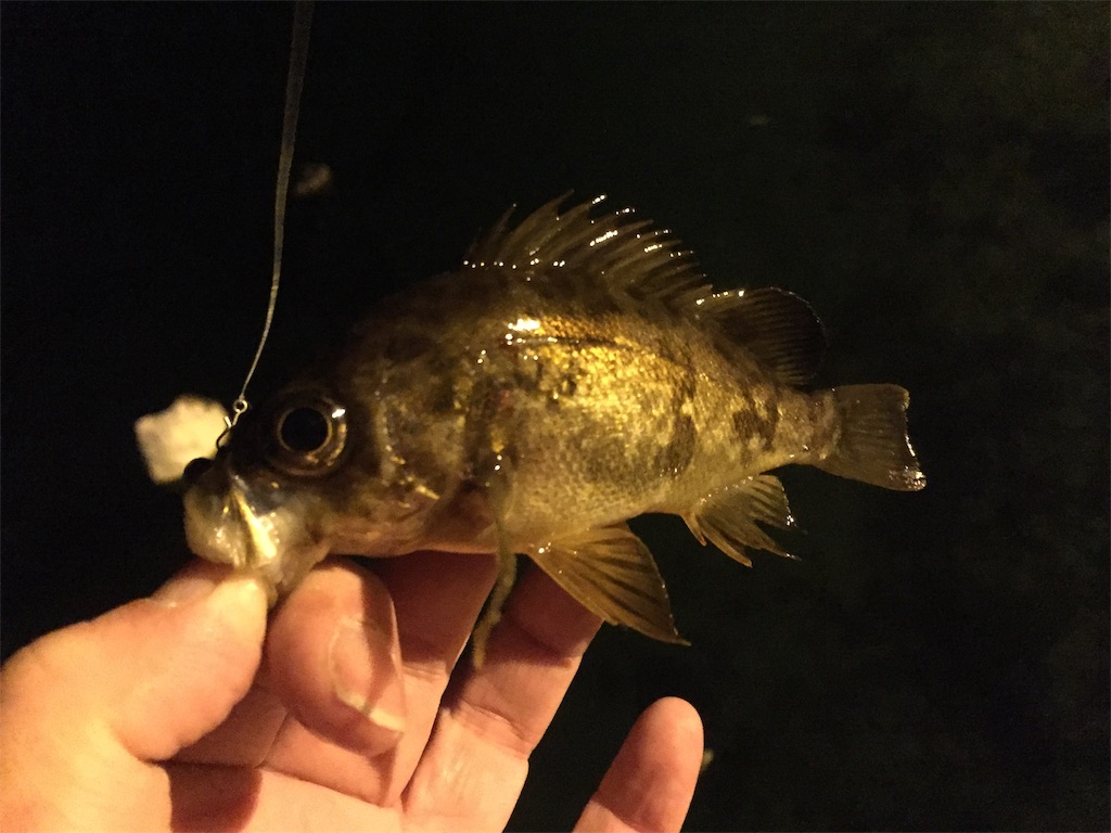 f:id:esojima3:20190130000122j:image f:id:esojima3:20190130000122j:image