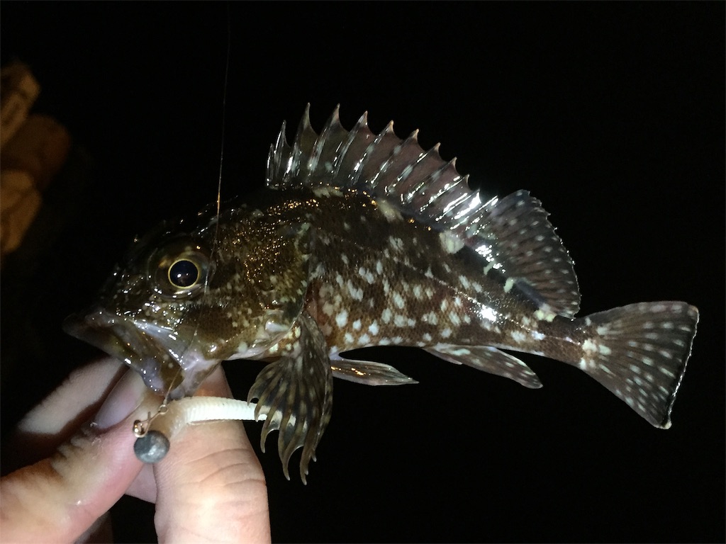 f:id:esojima3:20190130000127j:image f:id:esojima3:20190130000127j:image