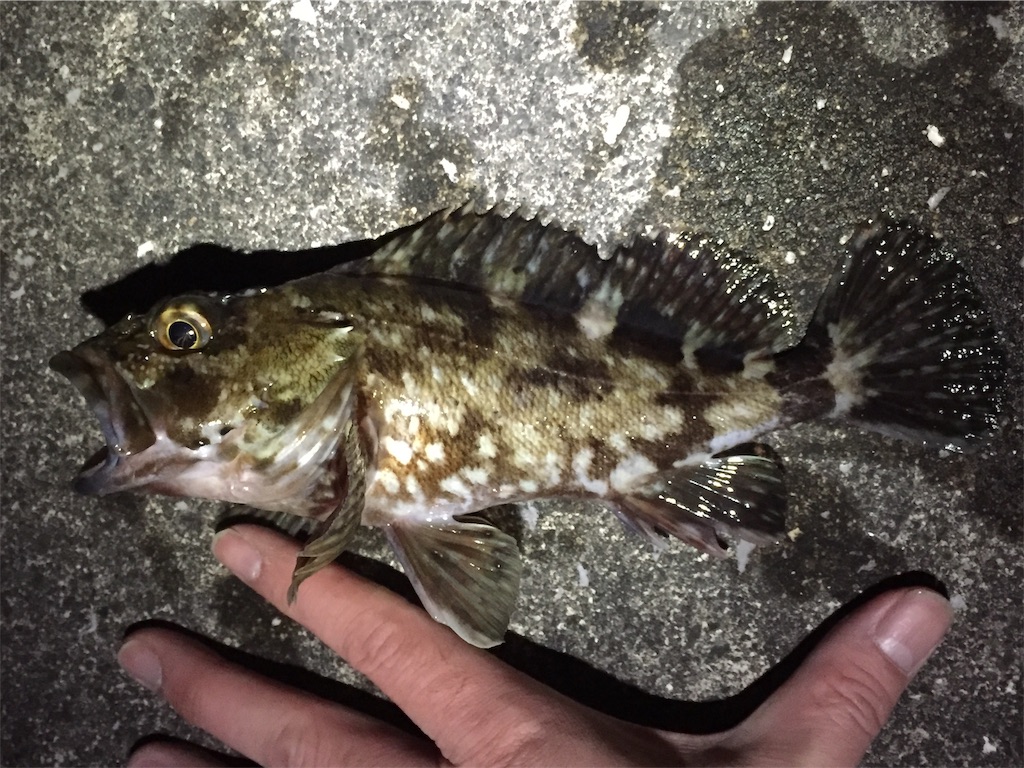f:id:esojima3:20190130000830j:image f:id:esojima3:20190130000830j:image