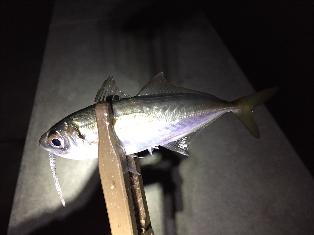 f:id:esojima3:20190130213125j:image
