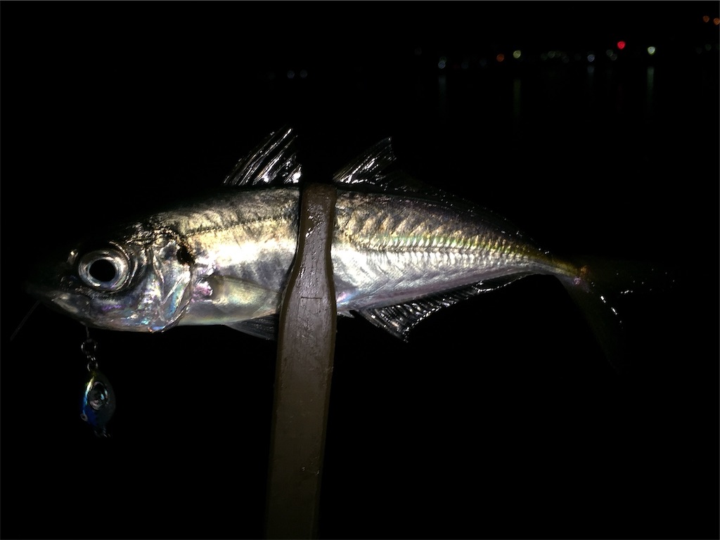 f:id:esojima3:20190130213129j:image