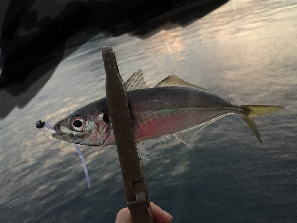 f:id:esojima3:20190130213132j:image