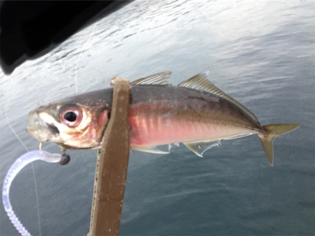 f:id:esojima3:20190130213138j:image