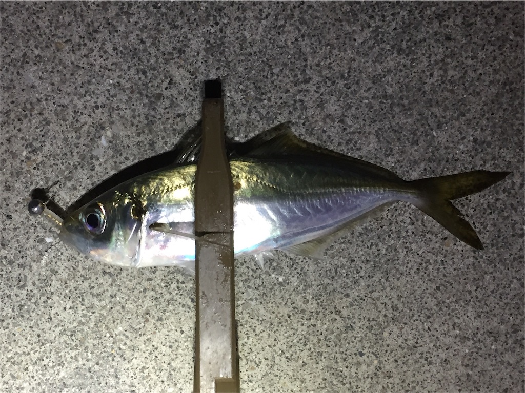 f:id:esojima3:20190130213146j:image