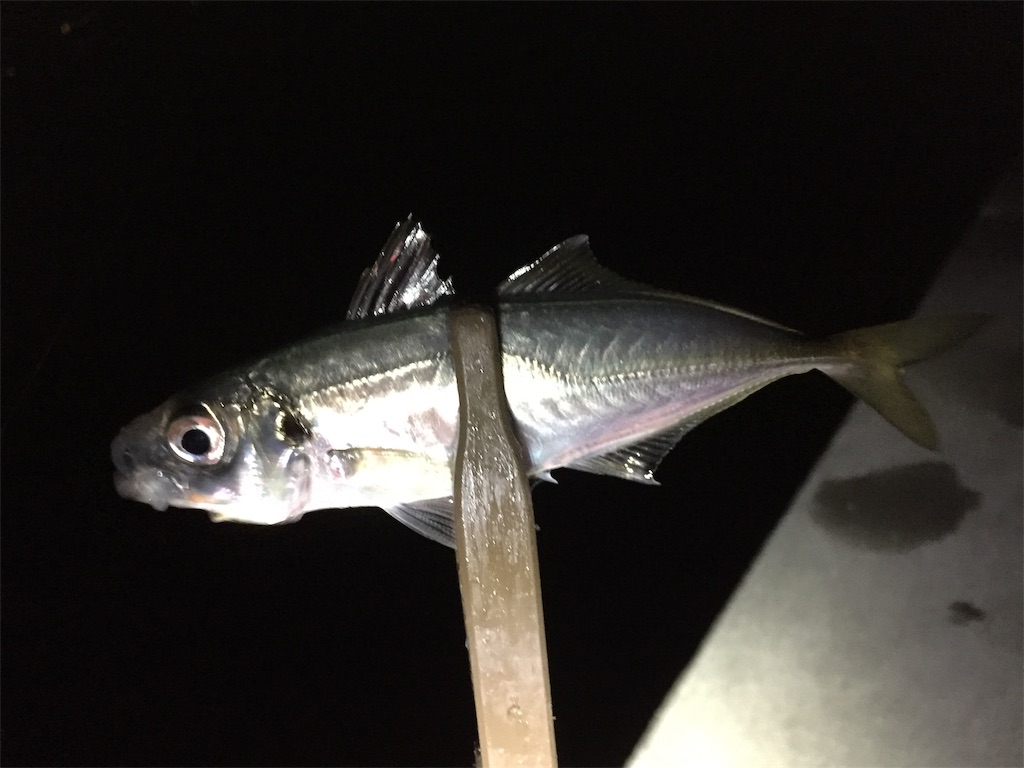 f:id:esojima3:20190130213150j:image