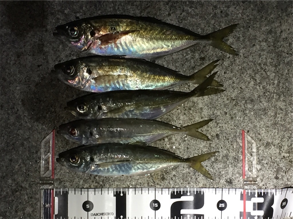 f:id:esojima3:20190131223053j:image