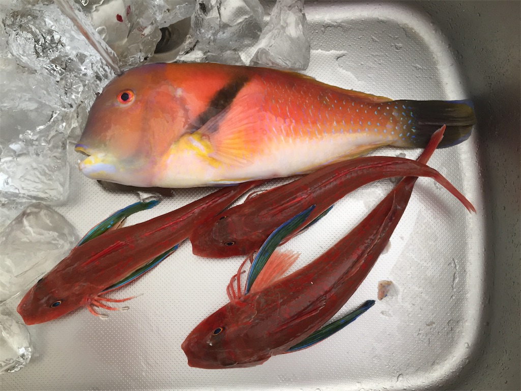 f:id:esojima3:20190203131149j:image