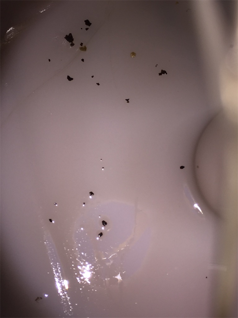 f:id:esojima3:20190203165009j:image