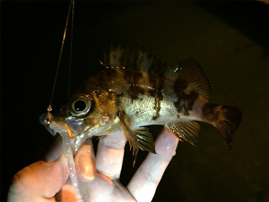 f:id:esojima3:20190203225711j:image