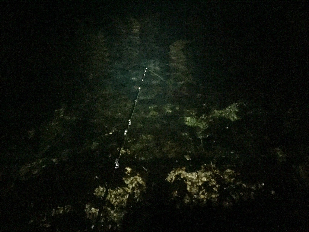 f:id:esojima3:20190207000512j:image f:id:esojima3:20190207000512j:image