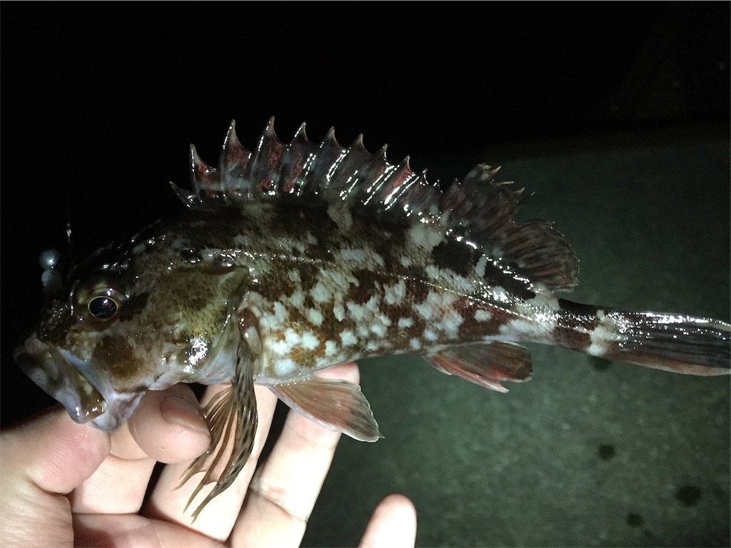 f:id:esojima3:20190209010953j:image