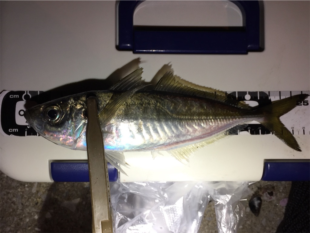 f:id:esojima3:20190210082247j:image
