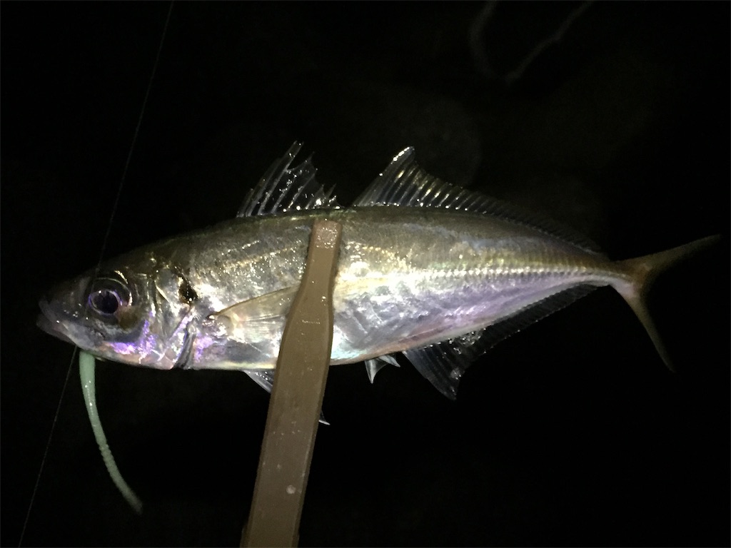 f:id:esojima3:20190211092045j:image