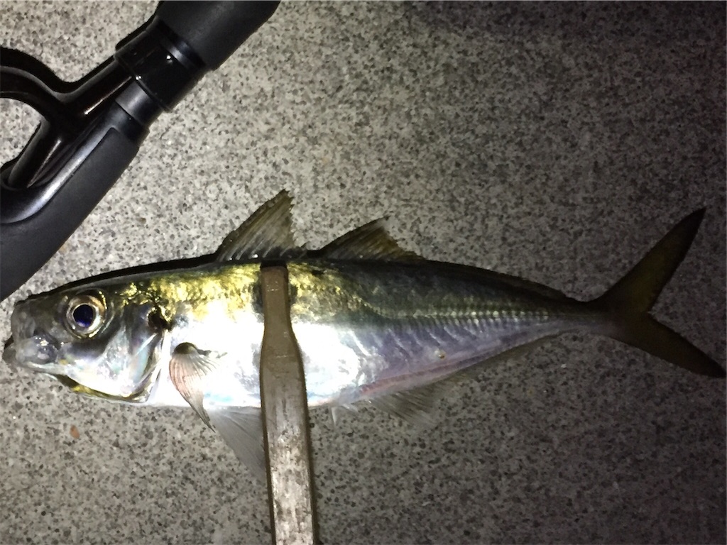 f:id:esojima3:20190220222133j:image