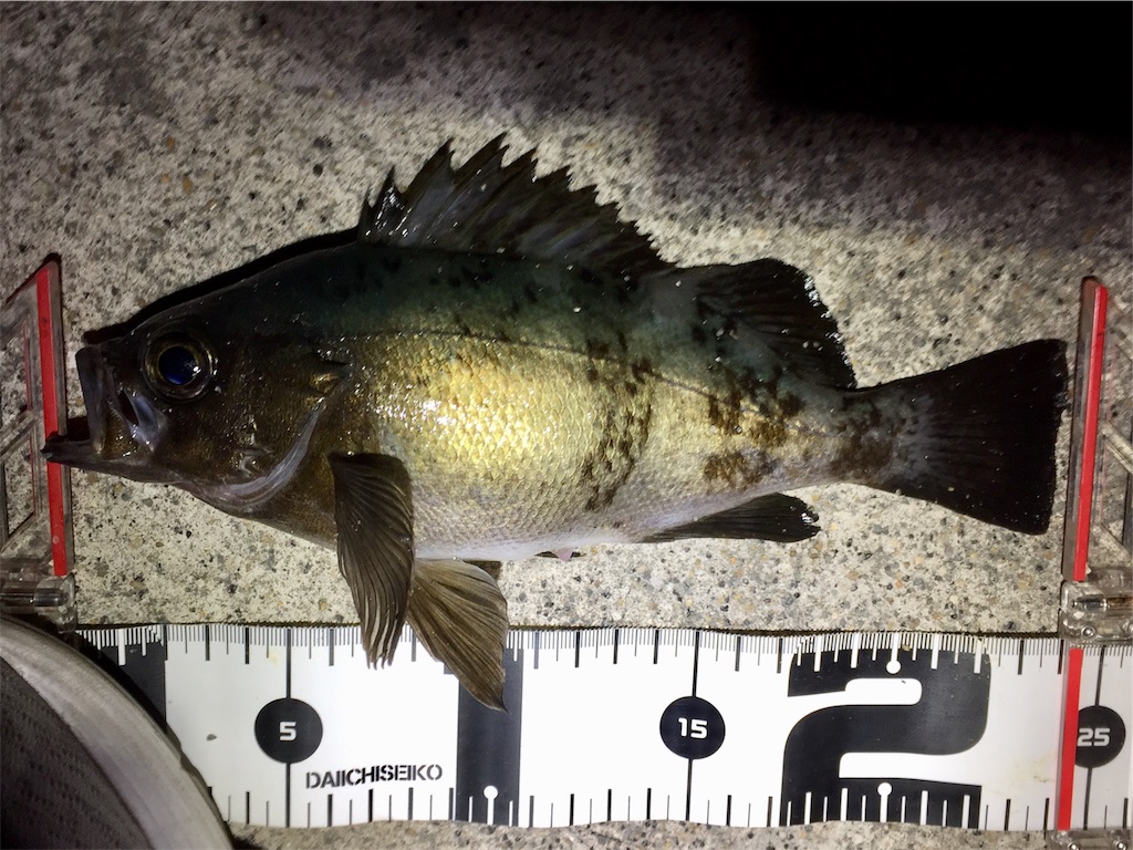 f:id:esojima3:20190220222604j:image