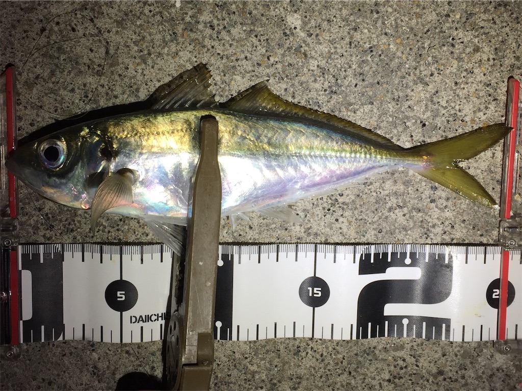 f:id:esojima3:20190220222929j:image