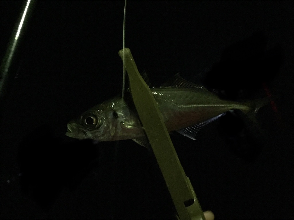 f:id:esojima3:20190223024321j:image