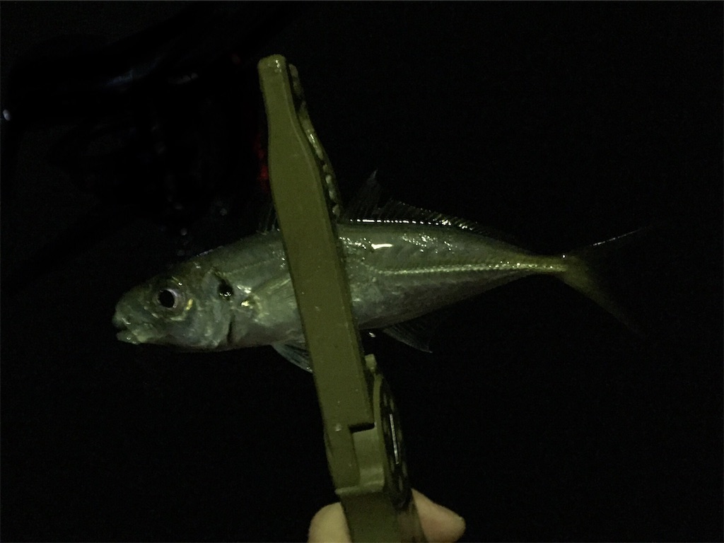 f:id:esojima3:20190223024326j:image