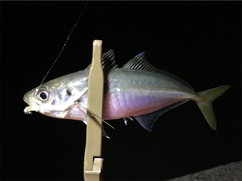 f:id:esojima3:20190223080135j:image