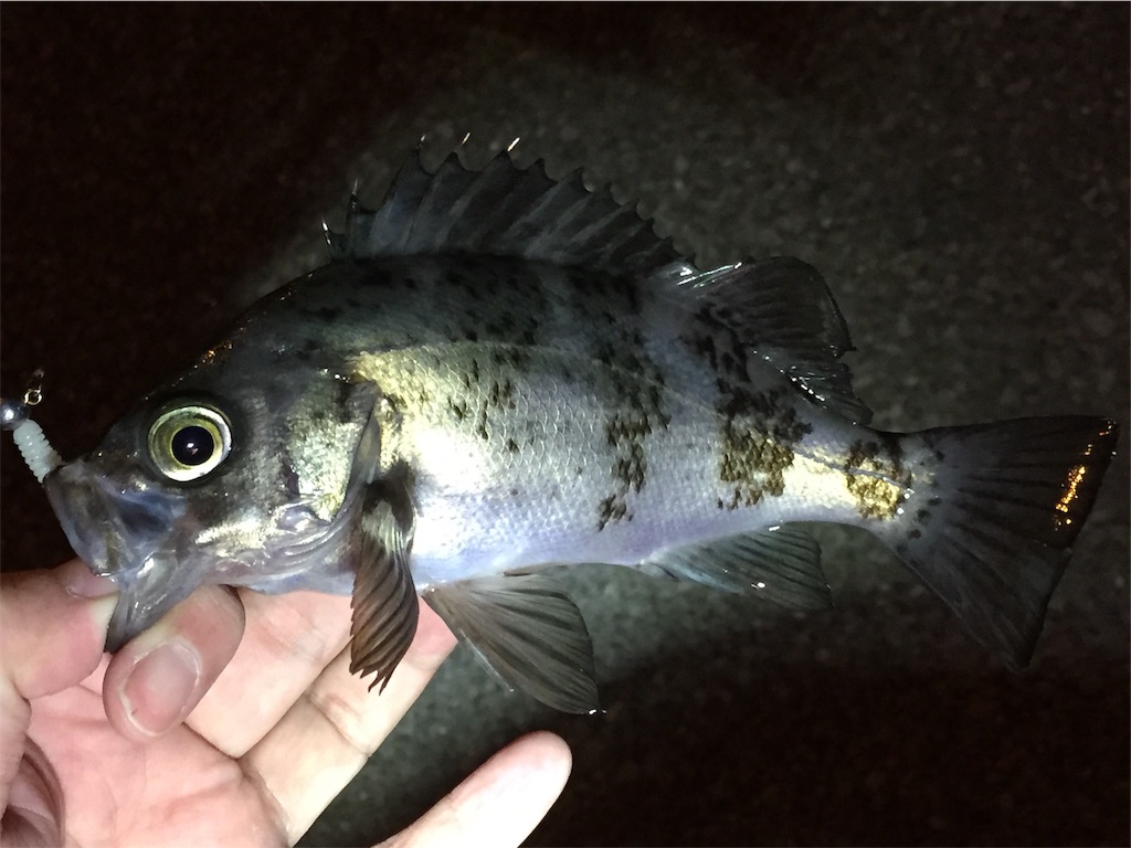 f:id:esojima3:20190223222020j:image