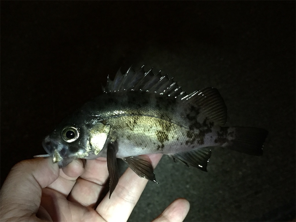 f:id:esojima3:20190224021211j:image