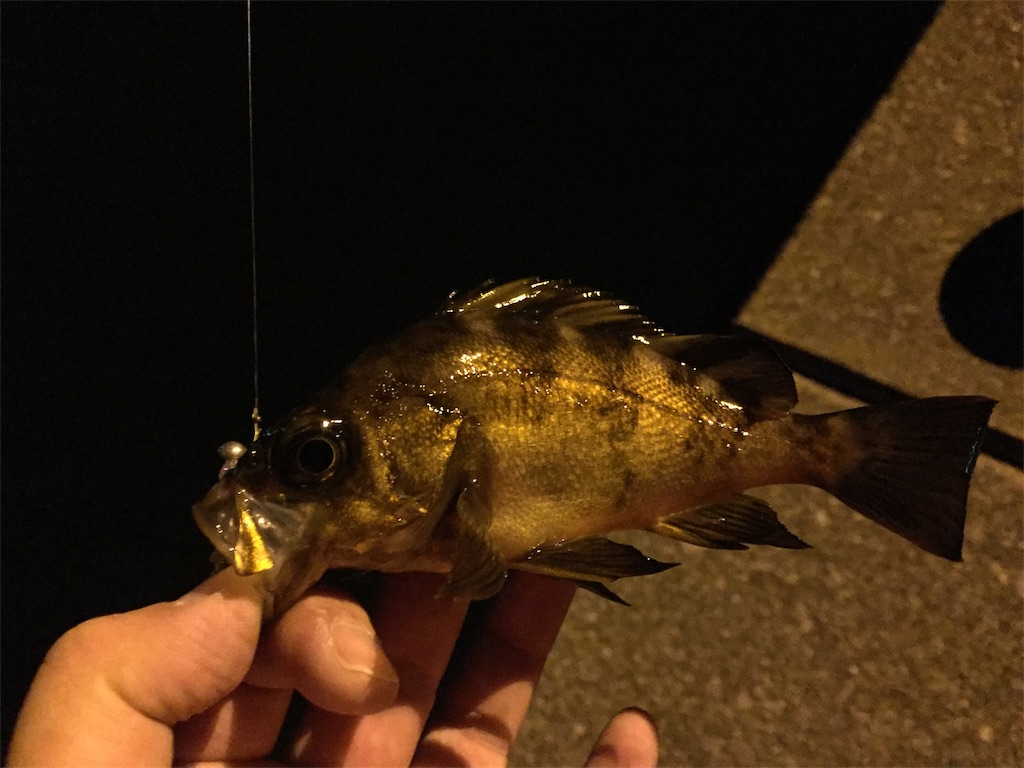 f:id:esojima3:20190224021223j:image