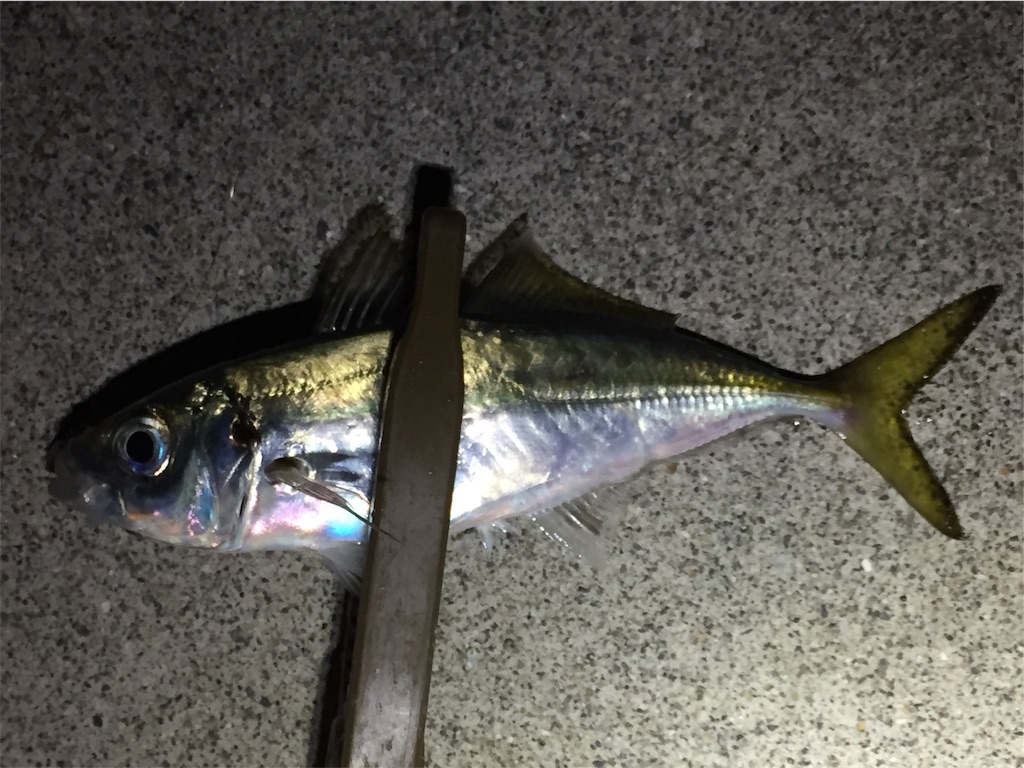f:id:esojima3:20190225230632j:image f:id:esojima3:20190225230632j:image