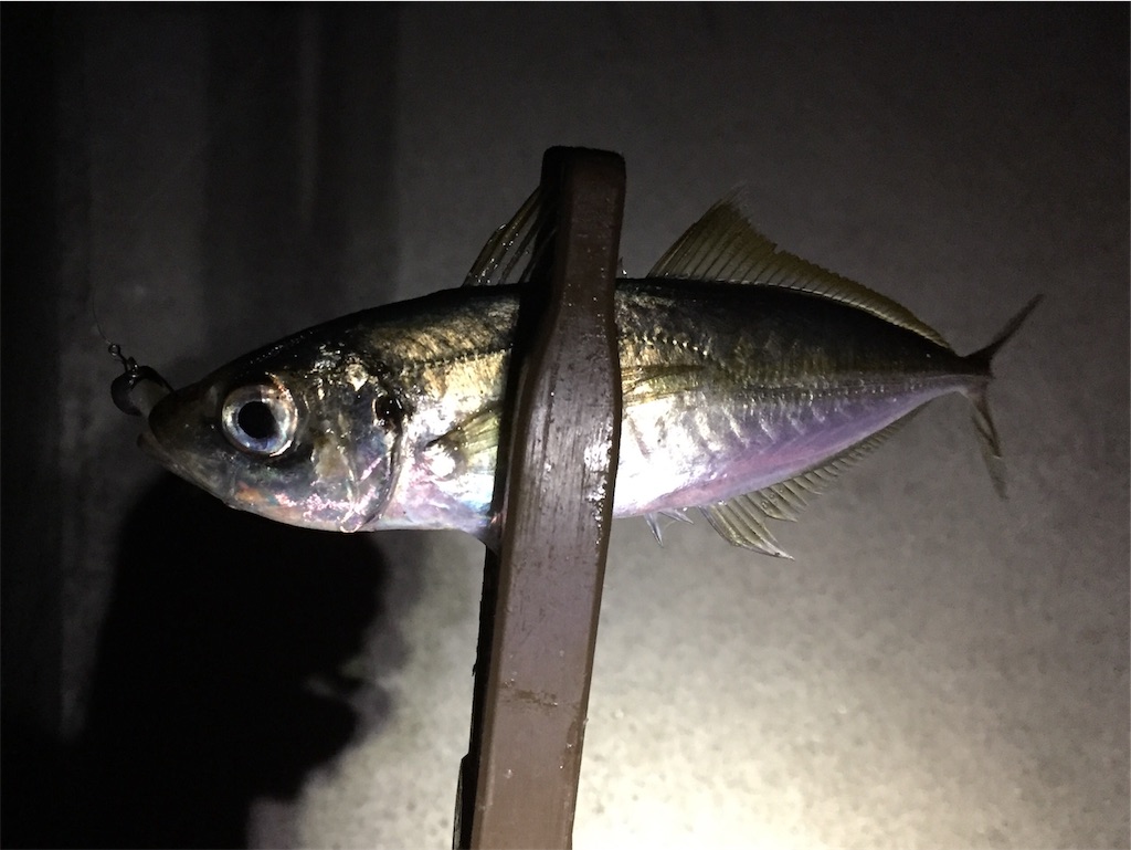f:id:esojima3:20190225231024j:image f:id:esojima3:20190225231024j:image