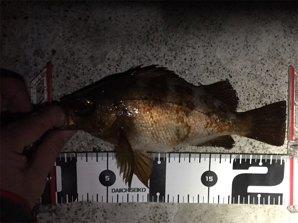f:id:esojima3:20190226222754j:image