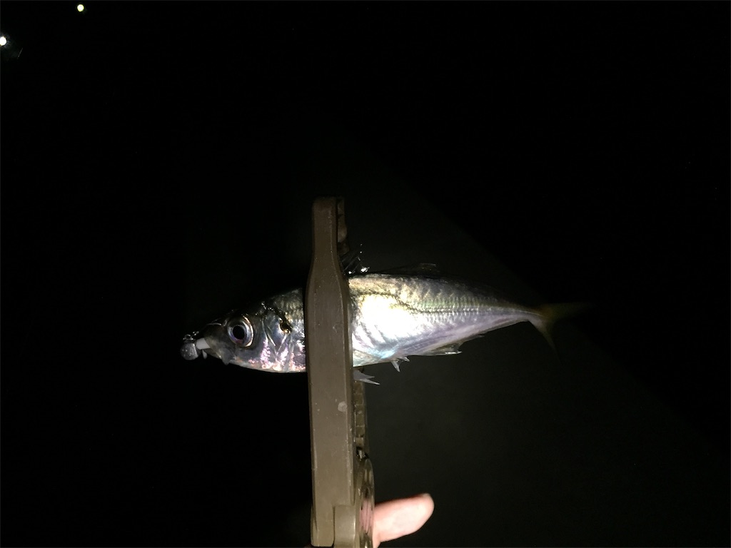 f:id:esojima3:20190226222917j:image